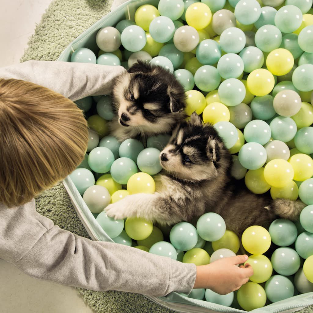 Puppy discount ball pit