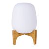 Bo-Camp LED Table Lamp Barnes White and Brown