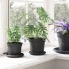 Product Thumbnail Image 4 of 12