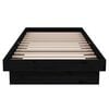 vidaXL Bed Frame without Mattress Black Solid Wood Small Single
