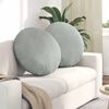 vidaXL Seat Cushions 2 pcs Light Grey &Oslash; 80 x 29 cm Velvet