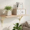 Product Thumbnail Image 2 of 6