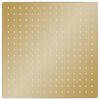 vidaXL Rain Shower Head Stainless Steel 40x40 cm Square Gold