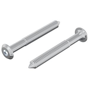 vidaXL Screw 2 pcs Silver M6 x 50 mm Steel