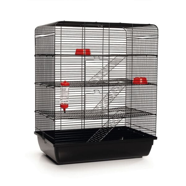 Beeztees Rat Cage Remy Black 58x38x71 cm 266815