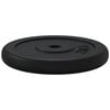 vidaXL Weight Plate 20 kg Cast Iron