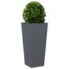 Product Thumbnail Image 4 of 12