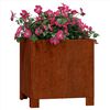 Product Thumbnail Image 9 of 12