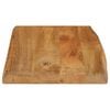 vidaXL Table Top 70x40x2.5 cm Live Edge Solid Wood Mango