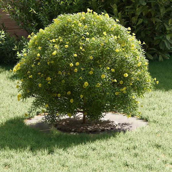 vidaXL suitable for Flat Tree Rings 5 pcs Silver &Oslash;30 / 60 cm