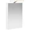 vidaXL Bathroom Mirror Cabinet with Shelf White 40 x 10.5 x 60.5 cm