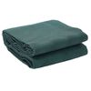 vidaXL Tent Carpet Green 300 x 200 cm Polyester