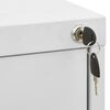 vidaXL Filing Cabinet Light Grey 46x62x164 cm Steel