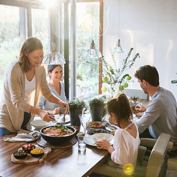 LECHUZA Planter DELTINI ALL-IN-ONE Metallic Charcoal