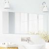 vidaXL Wall Mirror Rectangular 40 x 100 cm Tempered Glass