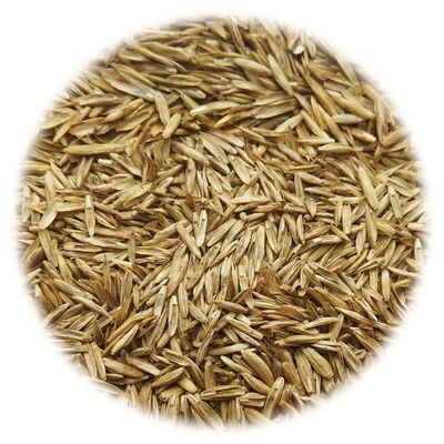 vidaXL Gazon Grass Seed 15 kg