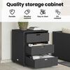 Product Thumbnail Image 13 of 14
