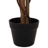 Product Thumbnail Image 4 of 6
