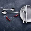 Amefa 24-Piece Cutlery Set Atlantic High-gloss Silver