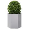 Product Thumbnail Image 5 of 14