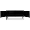 vidaXL TV Cabinet 118x40x60 cm Black