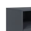 vidaXL TV Cabinet Anthracite 100.5x39x60.5 cm Steel