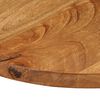 vidaXL Table Top &Oslash; 50x3.8 cm Round Solid Wood Mango