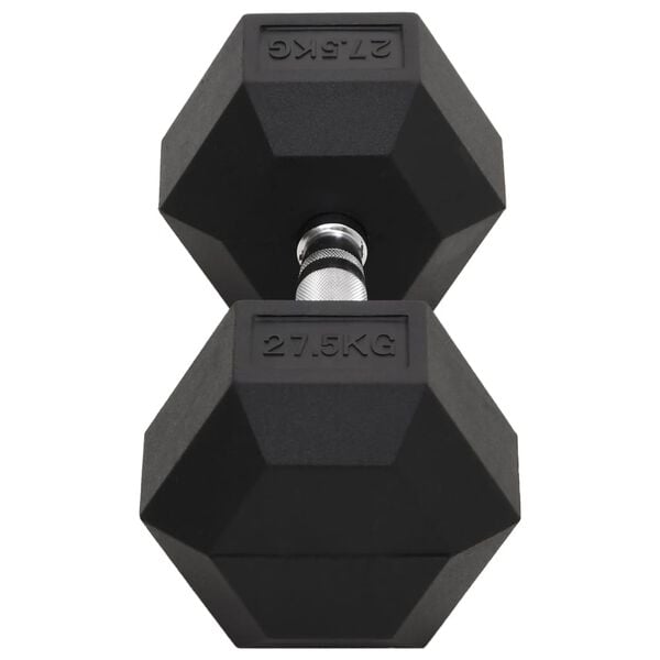 vidaXL Dumbbell 27.5 kg Cast Iron