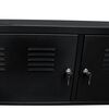 vidaXL TV Cabinet 118x40x60 cm Black