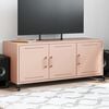 vidaXL TV Cabinet Pink 100.5x39x43.5 cm Steel