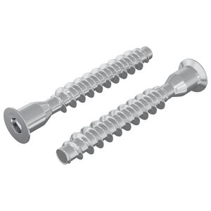 vidaXL Confirmat Screws 2 pcs Silver Metal