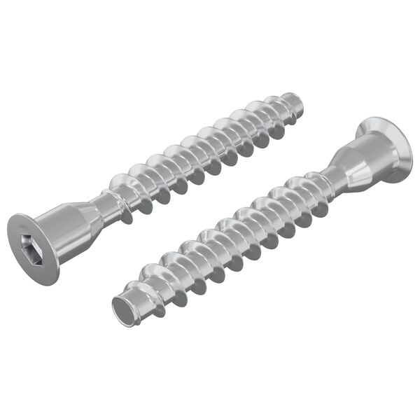 vidaXL Confirmat Screws 2 pcs Silver Metal