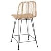 vidaXL Bar Chair 2 pcs Natural 44.5 x 54.5 x 97.5 cm Rattan and Iron
