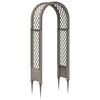 vidaXL Rose Arch with Spikes PP Grey