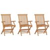 vidaXL Folding Garden Chairs 3 pcs Solid Teak Wood