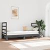 vidaXL Pull-out Day Bed without Mattress Grey 2x(90x190) cm