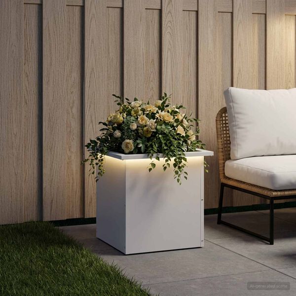 Showing Product Image 2 of 12