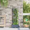 Product Thumbnail Image 2 of 9