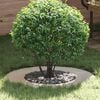 Product Thumbnail Image 2 of 9