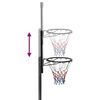 vidaXL Basketball Stand Transparent 280-350 cm Polycarbonate