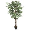 Product Thumbnail Image 2 of 5