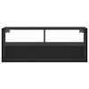 vidaXL TV Cabinet Black 100x31x39.5 cm Engineered Wood and Metal