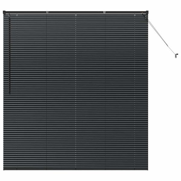 vidaXL Window Blind with Curtains Manual Black Aluminium