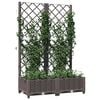 Product Thumbnail Image 7 of 7