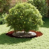 Product Thumbnail Image 3 of 12