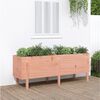 vidaXL Garden Raised Bed 160x50x57 cm Solid Wood Douglas
