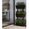 Product Thumbnail Image 2 of 8