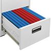 vidaXL Filing Cabinet Light Grey 46x62x164 cm Steel