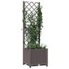 Product Thumbnail Image 7 of 8