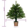 Product Thumbnail Image 13 of 13